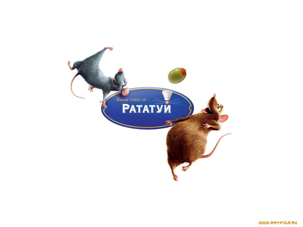 , ratatouille